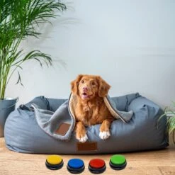 Comfort Company Praatknop Hond | Dogbuttons – Honden Speelgoed | Honden Speelgoed Intelligentie | 4 Stuks | Agility Voor De Hond | 30 Seconden Opnamen | Honden Training 19 Comfort Company Praatknop Hond | Dogbuttons – Honden Speelgoed | Honden Speelgoed Intelligentie | 4 Stuks | Agility Voor De Hond | 30 Seconden Opnamen | Honden Training -Huisdierbenodigdheden Korting 1200x1200 1776