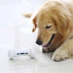 Wickedbone - Automatisch, Interactief En Intelligent Speelgoed Voor Honden - App & Bluetooth Bestuurbaar - USB Oplaadbaar -Huisdierbenodigdheden Korting 1200x1200 1789