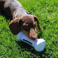 Cheerble Wickedbone|Automatisch Hondenspeeltje|Interactief En Intelligent Speelgoed Voor Honden|App & Bluetooth Bestuurbaar|USB Oplaadbaar -Huisdierbenodigdheden Korting 1200x1200 1793