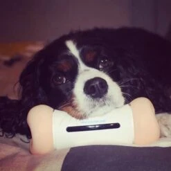 Cheerble Wickedbone|Automatisch Hondenspeeltje|Interactief En Intelligent Speelgoed Voor Honden|App & Bluetooth Bestuurbaar|USB Oplaadbaar -Huisdierbenodigdheden Korting 1200x1200 1794