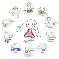 Trixie Honden Activity Flip Board - Hondenspeelgoed - Wit/Blauw - 23 Cm 15 Trixie Honden Activity Flip Board - Hondenspeelgoed - Wit/Blauw - 23 Cm -Huisdierbenodigdheden Korting 1200x1200 1797