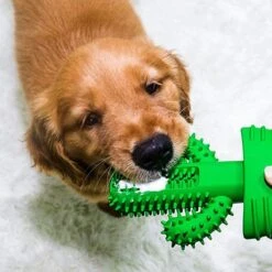 Tandenborstel + TANDPASTA Hond Melk Geur Smaak En Piep Honden Speelgoed - Cactus Dog Toy Tandverzorging Kauwbotten Hondenspeelgoed Hondenbot Kauwstaaf Tanden Puppy Hondenspeeltje Sterk Kauwspeelgoed - Dutchwide -Huisdierbenodigdheden Korting 1200x1200 1802