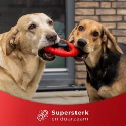 Kauwbot Stuurwiel 2.0 Extra Sterk Melk Geur Smaak En Piep Honden Speelgoed - Kauwspeelgoed Bot Hond - Dutchwide -Huisdierbenodigdheden Korting 1200x1200 1804
