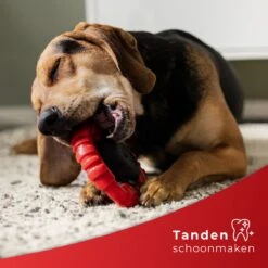 Kauwbot Stuurwiel 2.0 Extra Sterk Melk Geur Smaak En Piep Honden Speelgoed - Kauwspeelgoed Bot Hond - Dutchwide -Huisdierbenodigdheden Korting 1200x1200 1805