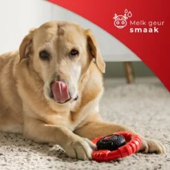 Kauwbot Stuurwiel 2.0 Extra Sterk Melk Geur Smaak En Piep Honden Speelgoed - Kauwspeelgoed Bot Hond - Dutchwide -Huisdierbenodigdheden Korting 1200x1200 1806