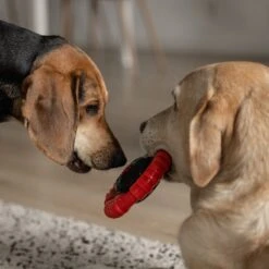 Kauwbot Stuurwiel 2.0 Extra Sterk Melk Geur Smaak En Piep Honden Speelgoed - Kauwspeelgoed Bot Hond - Dutchwide -Huisdierbenodigdheden Korting 1200x1200 1808