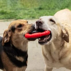 Kauwbot Stuurwiel 2.0 Extra Sterk Melk Geur Smaak En Piep Honden Speelgoed - Kauwspeelgoed Bot Hond - Dutchwide -Huisdierbenodigdheden Korting 1200x1200 1809
