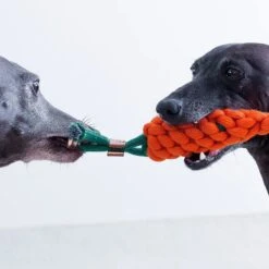 NufNuf - Hondenspeelgoed - Wortel - Stevig En Duurzaam Designspeelgoed -Huisdierbenodigdheden Korting 1200x1200 1812