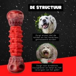 Kauwbot Hond Extra Sterk Kauwspeelgoed Melk Geur Smaak Honden Speelgoed - Rood Wit - Dutchwide 14 Kauwbot Hond Extra Sterk Kauwspeelgoed Melk Geur Smaak Honden Speelgoed - Rood Wit - Dutchwide -Huisdierbenodigdheden Korting 1200x1200 1824