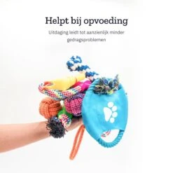 All 4 Pets Supply® Honden Speelgoed Set Geschikt Voor Puppy's T/m Middelgrote Honden - 12 Stuks - Hondenspeeltjes - Intelligentie - Touw - Flostouw - Bijtring - Bal 15 All 4 Pets Supply® Honden Speelgoed Set Geschikt Voor Puppy's T/m Middelgrote Honden - 12 Stuks - Hondenspeeltjes - Intelligentie - Touw - Flostouw - Bijtring - Bal -Huisdierbenodigdheden Korting 1200x1200 1831