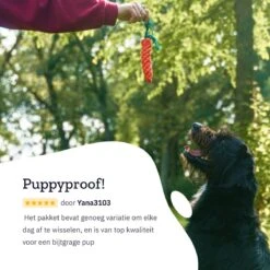 All 4 Pets Supply® Honden Speelgoed Set Geschikt Voor Puppy's T/m Middelgrote Honden - 12 Stuks - Hondenspeeltjes - Intelligentie - Touw - Flostouw - Bijtring - Bal 20 All 4 Pets Supply® Honden Speelgoed Set Geschikt Voor Puppy's T/m Middelgrote Honden - 12 Stuks - Hondenspeeltjes - Intelligentie - Touw - Flostouw - Bijtring - Bal -Huisdierbenodigdheden Korting 1200x1200 1834