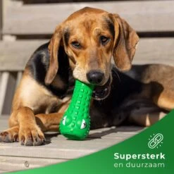 Tandenborstel Hond Melk Geur Smaak En Piep Honden Speelgoed Dog Toy - Krokodil Groen - Dutchwide -Huisdierbenodigdheden Korting 1200x1200 1838