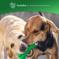 Tandenborstel Hond Melk Geur Smaak En Piep Honden Speelgoed Dog Toy - Krokodil Groen - Dutchwide -Huisdierbenodigdheden Korting 1200x1200 1839