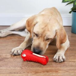Tandenborstel Hond Melk Geur Smaak En Piep Honden Speelgoed Dog Toy - Krokodil Groen - Dutchwide -Huisdierbenodigdheden Korting 1200x1200 1842
