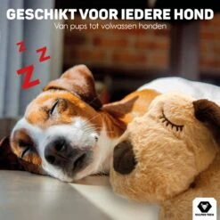 Vulpes Pets® Knuffel Hond Met Hartslag – Puppyknuffel - Hondenknuffel Voor Puppy - Snuggle Puppy - Knuffel Met Hartslag En Gratis Warmte Pad Speciaal Voor Puppy's -Huisdierbenodigdheden Korting 1200x1200 1853