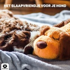 Vulpes Pets® Knuffel Hond Met Hartslag – Puppyknuffel - Hondenknuffel Voor Puppy - Snuggle Puppy - Knuffel Met Hartslag En Gratis Warmte Pad Speciaal Voor Puppy's -Huisdierbenodigdheden Korting 1200x1200 1854