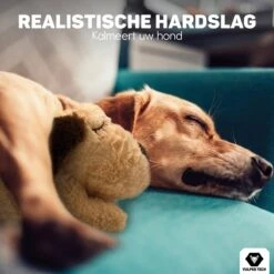 Vulpes Pets® Knuffel Hond Met Hartslag – Puppyknuffel - Hondenknuffel Voor Puppy - Snuggle Puppy - Knuffel Met Hartslag En Gratis Warmte Pad Speciaal Voor Puppy's -Huisdierbenodigdheden Korting 1200x1200 1855