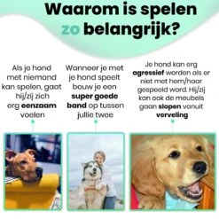 Petloverz – Honden Speelgoed Set – Honden Speeltjes – Knuffel - Speelgoed – Intelligentie – 15 Speeltjes -Huisdierbenodigdheden Korting 1200x1200 1867