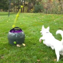 PetSafe Automatische Ballenwerper - Dierenspeelgoed -Huisdierbenodigdheden Korting 1200x1200 1874