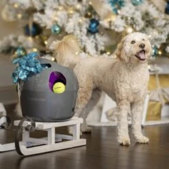PetSafe Automatische Ballenwerper - Dierenspeelgoed -Huisdierbenodigdheden Korting 1200x1200 1875