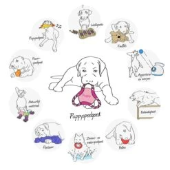 Kong Puppy Goodie Bone Small Small - 1 ST 18 Kong Puppy Goodie Bone Small Small - 1 ST -Huisdierbenodigdheden Korting 1200x1200 1878