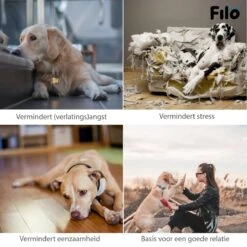 Filo Hondenknuffel Met Hartslag En Warmtebron - Hartslagknuffel Hondenspeelgoed Snuggle Puppy - Knuffel Met Hartslag - Heartbeat Knuffel Hond 16 Filo Hondenknuffel Met Hartslag En Warmtebron - Hartslagknuffel Hondenspeelgoed Snuggle Puppy - Knuffel Met Hartslag - Heartbeat Knuffel Hond -Huisdierbenodigdheden Korting 1200x1200 1883