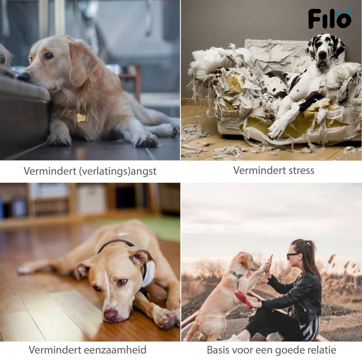 Filo Hondenknuffel Met Hartslag En Warmtebron - Hartslagknuffel Hondenspeelgoed Snuggle Puppy - Knuffel Met Hartslag - Heartbeat Knuffel Hond 8 Filo Hondenknuffel Met Hartslag En Warmtebron - Hartslagknuffel Hondenspeelgoed Snuggle Puppy - Knuffel Met Hartslag - Heartbeat Knuffel Hond - Image 6