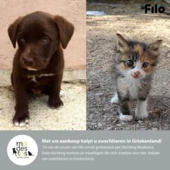 Filo Hondenknuffel Met Hartslag En Warmtebron - Hartslagknuffel Hondenspeelgoed Snuggle Puppy - Knuffel Met Hartslag - Heartbeat Knuffel Hond 18 Filo Hondenknuffel Met Hartslag En Warmtebron - Hartslagknuffel Hondenspeelgoed Snuggle Puppy - Knuffel Met Hartslag - Heartbeat Knuffel Hond -Huisdierbenodigdheden Korting 1200x1200 1884