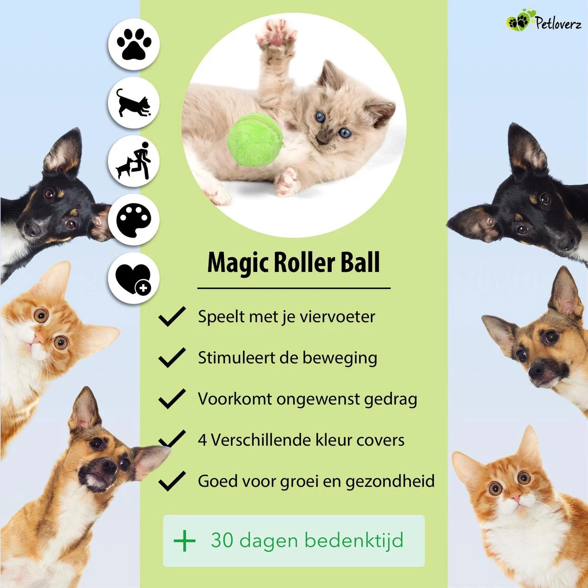 Petloverz Magic Roller Ball – Honden Speelgoed – Premium Automatische Rollende Bal 9 Petloverz Magic Roller Ball – Honden Speelgoed – Premium Automatische Rollende Bal - Image 7