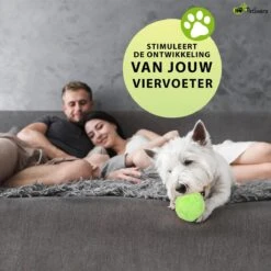 Petloverz Magic Roller Ball – Honden Speelgoed – Premium Automatische Rollende Bal 17 Petloverz Magic Roller Ball – Honden Speelgoed – Premium Automatische Rollende Bal -Huisdierbenodigdheden Korting 1200x1200 1899