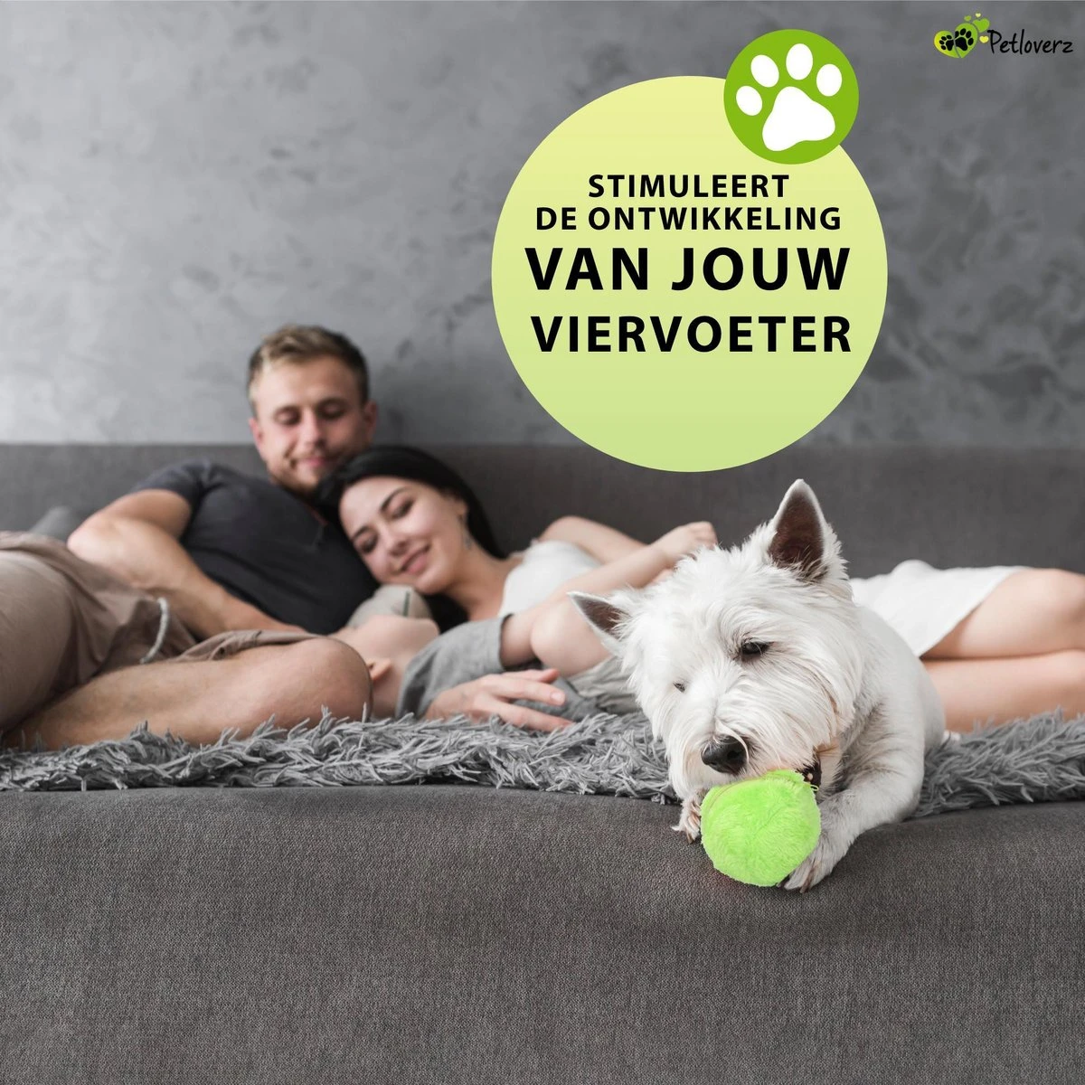 Petloverz Magic Roller Ball – Honden Speelgoed – Premium Automatische Rollende Bal 10 Petloverz Magic Roller Ball – Honden Speelgoed – Premium Automatische Rollende Bal - Image 8