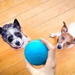 Cheerble Wicked Ball W1| Blauw| Zelf Rollende Bal Voor Honden | 3 Automatische Speelmodi | Interactief En Intelligentie Hondenspeelgoed | Hondenspeeltje| USB Oplaadbaar -Huisdierbenodigdheden Korting 1200x1200 1903