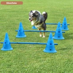 Agility Voor De Hond - Honden Training - Dog Activity - Behendigheid Hond - Parcours -Huisdierbenodigdheden Korting 1200x1200 1913