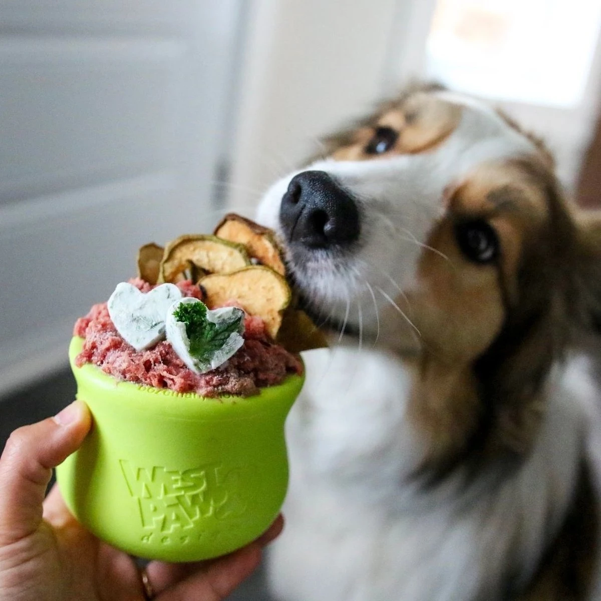 West Paw Toppl Zogoflex - Uitdagend En Sterk Speelgoed Voor Honden - Slowfeeder - Vulbaar Met Voer Of Snacks - Kleur: Groen, Maat: Large 14 West Paw Toppl Zogoflex - Uitdagend En Sterk Speelgoed Voor Honden - Slowfeeder - Vulbaar Met Voer Of Snacks - Kleur: Groen, Maat: Large - Image 12