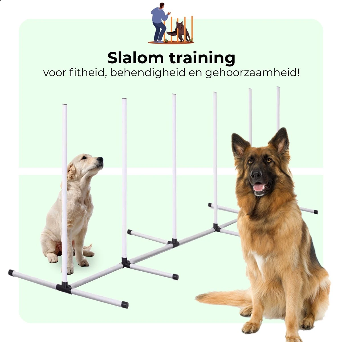 AYOO Agility Voor De Hond - Honden Training - Honden Behendigheid Set - Hondenparcours - Training Huisdieren - Honden Agility Set - Slalom - Horde - Draagzak - Agility Set - Oranje - Wit - GRATIS Speeltouw 7 AYOO Agility Voor De Hond - Honden Training - Honden Behendigheid Set - Hondenparcours - Training Huisdieren - Honden Agility Set - Slalom - Horde - Draagzak - Agility Set - Oranje - Wit - GRATIS Speeltouw - Image 5