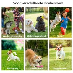 AYOO Agility Voor De Hond - Honden Training - Honden Behendigheid Set - Hondenparcours - Training Huisdieren - Honden Agility Set - Slalom - Horde - Draagzak - Agility Set - Oranje - Wit - GRATIS Speeltouw 16 AYOO Agility Voor De Hond - Honden Training - Honden Behendigheid Set - Hondenparcours - Training Huisdieren - Honden Agility Set - Slalom - Horde - Draagzak - Agility Set - Oranje - Wit - GRATIS Speeltouw -Huisdierbenodigdheden Korting 1200x1200 1938