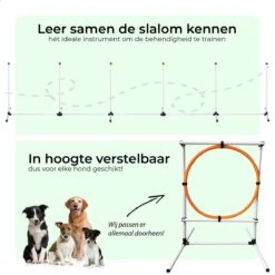 AYOO Agility Voor De Hond - Honden Training - Honden Behendigheid Set - Hondenparcours - Training Huisdieren - Honden Agility Set - Slalom - Horde - Draagzak - Agility Set - Oranje - Wit - GRATIS Speeltouw 17 AYOO Agility Voor De Hond - Honden Training - Honden Behendigheid Set - Hondenparcours - Training Huisdieren - Honden Agility Set - Slalom - Horde - Draagzak - Agility Set - Oranje - Wit - GRATIS Speeltouw -Huisdierbenodigdheden Korting 1200x1200 1939