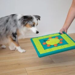 Nina Ottosson Interactieve Hondenpuzzel Vulbaar Met Snacks Voor De Slimste Honden - Outward Hound Multipuzzle -Huisdierbenodigdheden Korting 1200x1200 1965
