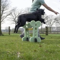 Dog Agility Set Indoor En Outdoor - Honden Trainingsset - -Huisdierbenodigdheden Korting 1200x1200 1974