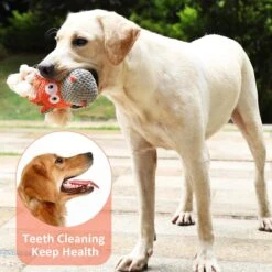 Merkloos Hondenknuffel - Interactief Piepspeelgoed Voor Honden - Teddy - Stoer Hondenkauwspeelgoed - Met Katoenen Materiaal En Gekreukt Papier - Hondenspeelgoed Voor Grote En Kleine Honden -Huisdierbenodigdheden Korting 1200x1200 1987