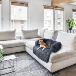 Origineel Hondendeken Voor Bank– Hondenkleed Fluffy – Pluche Hondenbed - Hondenmand Premium - Volledig Afritsbaar -Huisdierbenodigdheden Korting 1200x1200 2014