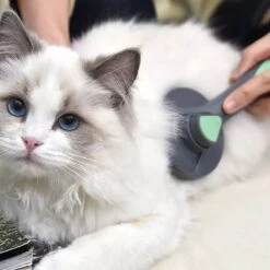 Pakeway Kattenborstel – Hondenborstel – Haarverwijderaar Voor Huisdieren – Kattenkam - Kortharig - Langharig - Inclusief Ebook! 12 Pakeway Kattenborstel – Hondenborstel – Haarverwijderaar Voor Huisdieren – Kattenkam - Kortharig - Langharig - Inclusief Ebook! -Huisdierbenodigdheden Korting 1200x1200 202