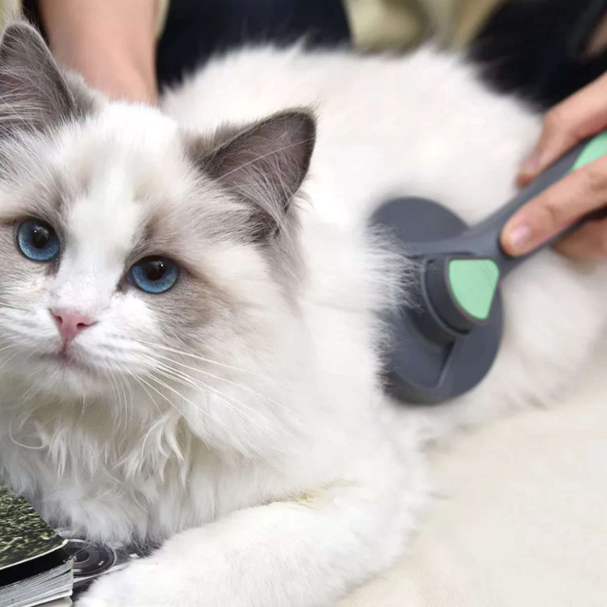 Pakeway Kattenborstel – Hondenborstel – Haarverwijderaar Voor Huisdieren – Kattenkam - Kortharig - Langharig - Inclusief Ebook! 6 Pakeway Kattenborstel – Hondenborstel – Haarverwijderaar Voor Huisdieren – Kattenkam - Kortharig - Langharig - Inclusief Ebook! - Image 4