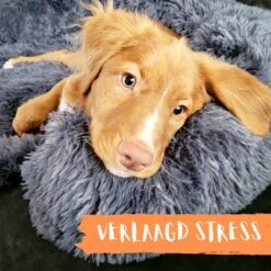 Origineel Hondendeken Voor Bank– Hondenkleed Fluffy – Pluche Hondenbed - Hondenmand Premium - Volledig Afritsbaar -Huisdierbenodigdheden Korting 1200x1200 2022