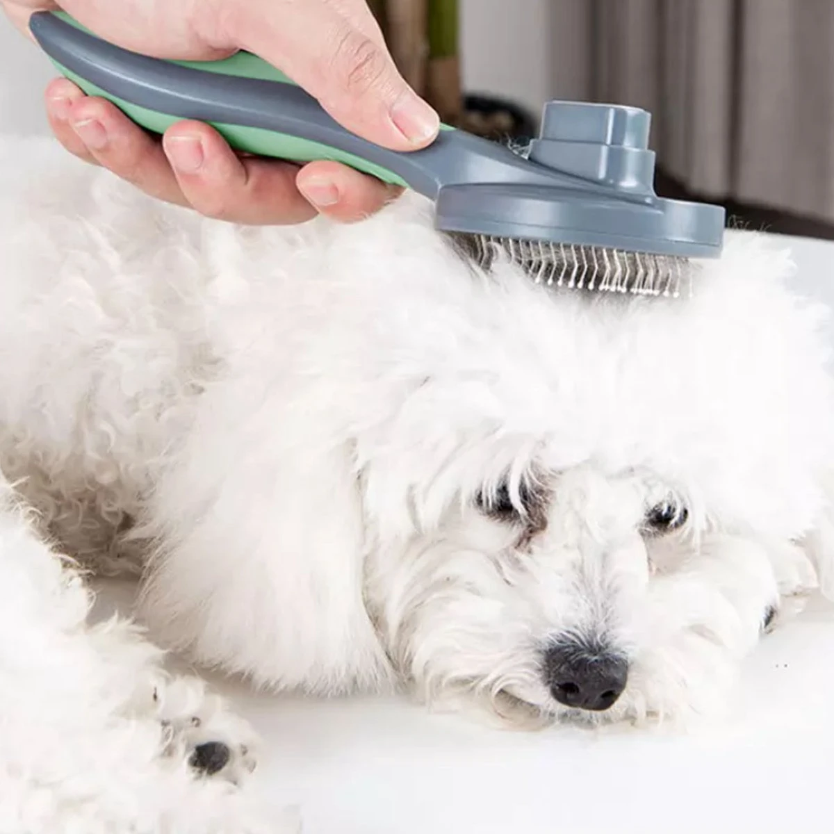 Pakeway Kattenborstel – Hondenborstel – Haarverwijderaar Voor Huisdieren – Kattenkam - Kortharig - Langharig - Inclusief Ebook! 8 Pakeway Kattenborstel – Hondenborstel – Haarverwijderaar Voor Huisdieren – Kattenkam - Kortharig - Langharig - Inclusief Ebook! - Image 6