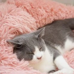 Topmast Fluffy Donut - Dierenmand - Donut Hondenmand - Roze - 50 Cm -Huisdierbenodigdheden Korting 1200x1200 2030