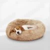 Peaceful Pooch S - Pluizig Hondenbed - 58cm Diameter - Opvouwbaar - In Verschillende Maten. Kattenbed - Wasbaar - Uitneembare Vulling - Ontspant Gewrichten En Spieren - Anti-slip Noppenbodem -Huisdierbenodigdheden Korting 1200x1200 2043