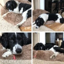 Snoozle Donut Hondenmand - Zacht En Luxe Hondenkussen - Wasbaar - Fluffy - Hondenmanden - 80cm - Creme Bruin -Huisdierbenodigdheden Korting 1200x1200 2070