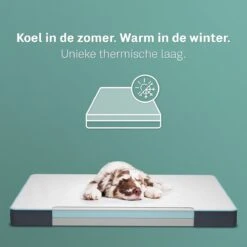 CozySense® - Orthopedisch Hondenkussen - Hondenkussen 60 X 40 Cm - Ook Geschikt Als Benchkussen & Hondenbed - Hondenkussen Bank - Traagschuim - Waterdicht - Wasbare Hoes - Maat S -Huisdierbenodigdheden Korting 1200x1200 2085