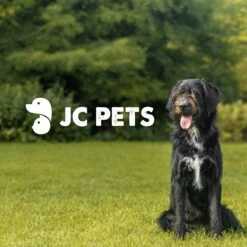 JC Pets Premium Pluizenborstel - Huisdierhaar Verwijderaar – Pluizenverwijderaar – Honden En Kattenhaar Verwijderaar - Ontpluizer - Pluizenroller 16 JC Pets Premium Pluizenborstel - Huisdierhaar Verwijderaar – Pluizenverwijderaar – Honden En Kattenhaar Verwijderaar - Ontpluizer - Pluizenroller -Huisdierbenodigdheden Korting 1200x1200 209